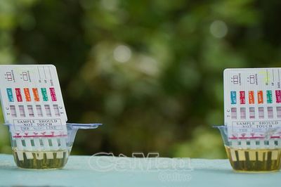 Vì những chuyến biển không ma túy