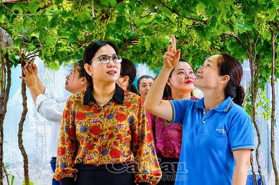 VAC tuần hoàn - hướng mở cho nông nghiệp xanh