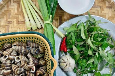 Nhớ thương ốc mút cổng trường