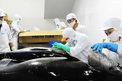 Sức ép đối với cá ngừ xuất khẩu