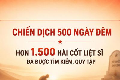 [Infographic] Chiến dịch 500 ngày đêm: Đã quy tập hơn 1.500 hài cốt liệt sĩ
