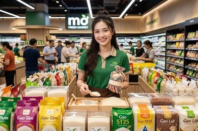 Giá lúa gạo hôm nay 3.8.2026: Gạo nguyên liệu tiếp tục neo cao