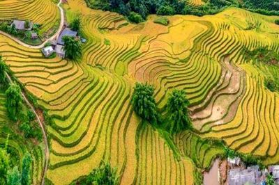 Lào Cai: Cho vay ưu đãi để khơi thông nguồn lực phát triển du lịch cộng đồng