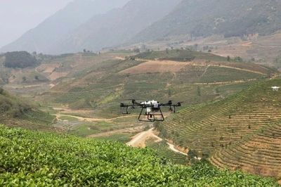 Cơ hội để nông nghiệp Việt Nam bứt tốc
