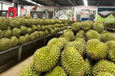 Đơn giản hóa thủ tục hành chính về mã số vùng trồng, mã số cơ sở đóng gói