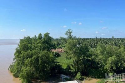 Đề nghị làm rõ trách nhiệm đối với sai phạm tại Dự án Khu du lịch sinh thái Cồn nổi Thanh Tân