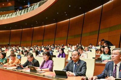 Trình Quốc hội cơ chế đặc thù xử lý vi phạm liên quan kinh tế Nhà nước, kinh tế tư nhân