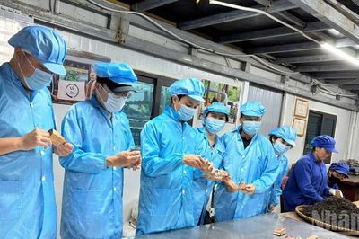 Tháng 7/2026, đời sống dân cư duy trì ổn định, công tác an sinh xã hội tiếp tục được quan tâm