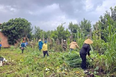 Chủ động khống chế điểm nóng sốt xuất huyết phía Tây tỉnh Gia Lai