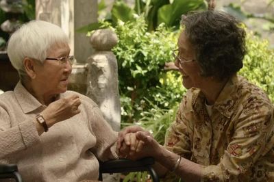 'Bức thư tình' ăn khách nhất lịch sử phòng vé Trung Quốc 'đổ bộ' phòng vé Việt