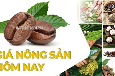 Giá nông sản hôm nay 3/8/2026: Giá cà phê trong nước duy trì ở mức cao, lợi thế ngành tiêu khó duy trì; Thuế quan Mỹ đang đặt ra 'luật chơi' mới