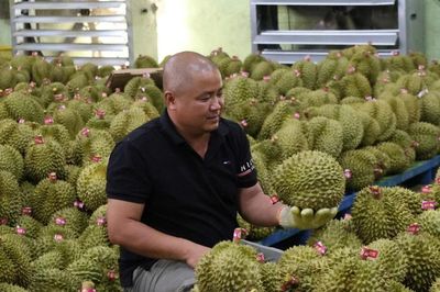 Để nông sản tỷ đô không vỡ trận xuất khẩu: Gian nan tìm 'hộ chiếu'