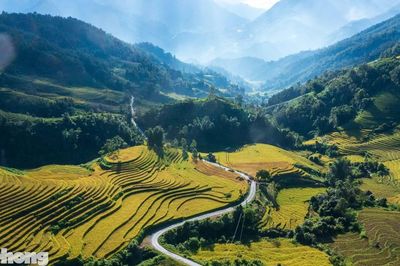 Ruộng bậc thang Tây Bắc mùa lúa chín đẹp như tranh