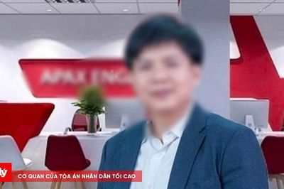 VKSND tối cao trả hồ sơ vụ Shark Thủy để điều tra bổ sung