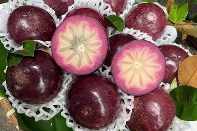 Loại quả 'vàng' cho người cao huyết áp, mỡ máu