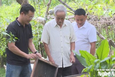 Khi 'thủ lĩnh' khối xóm là những người trẻ