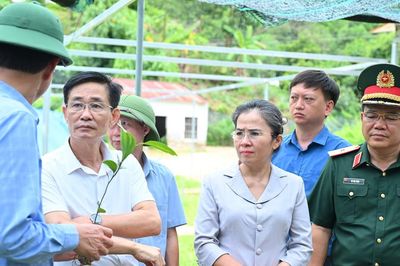 Phó Bí thư Tỉnh ủy Võ Thị Minh Sinh làm việc với các xã khu vực Quế Phong về tình hình phát triển dược liệu