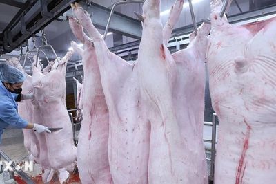 Quảng Ninh chấm dứt cơ sở giết mổ động vật không đủ điều kiện trước 31/10