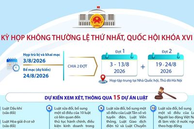 Kỳ họp không thường lệ thứ Nhất, Quốc hội khóa XVI
