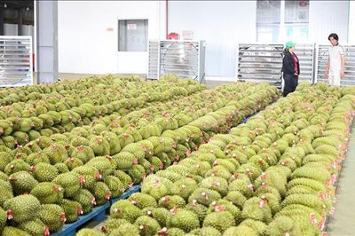 Trái cây Việt trước cơ hội bứt phá tại thị trường tỷ dân