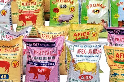 Doanh thu tài chính khởi sắc, Afiex tăng gần 40% lợi nhuận
