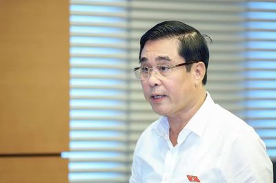 ĐBQH nêu lý do cần kiểm soát, xử lý nghiêm hành vi kinh doanh 'bóng cười'