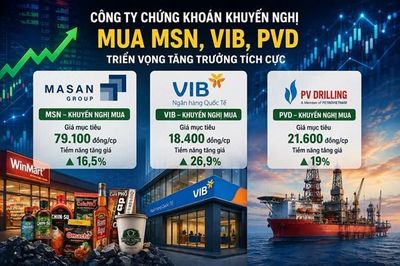 Cổ phiếu MSN, VIB và PVD lọt 'tầm ngắm' khuyến nghị mua nhờ đâu?