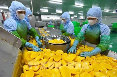 Trái cây Việt trước cơ hội bứt phá tại thị trường tỷ dân