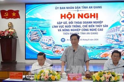 Chủ tịch An Giang: Không đùn đẩy trách nhiệm với doanh nghiệp