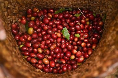 Giá nông sản hôm nay (3/8): Giá heo hơi chưa thoát khỏi xu hướng giảm, cà phê tăng nhẹ