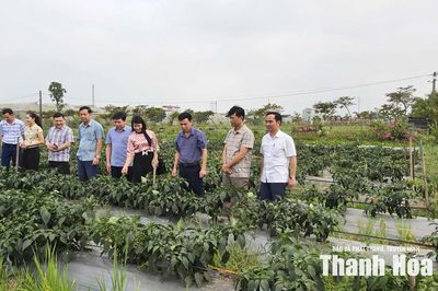 Nga Thắng phấn đấu trở thành xã phát triển khá của tỉnh