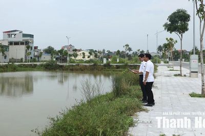 Đấu giá quyền sử dụng đất - thị trường 'hạ nhiệt', giá trị thực lên ngôi