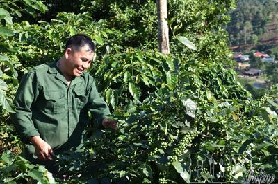 Đánh thức tiềm năng từ tầm nhìn chiến lược của Đảng