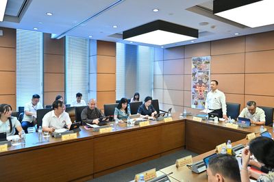 ĐBQH tỉnh tham gia ý kiến vào các dự thảo luật