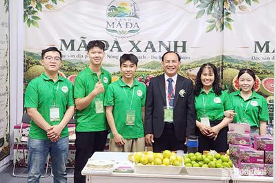 Kết nối hỗ trợ phát triển kinh tế tập thể
