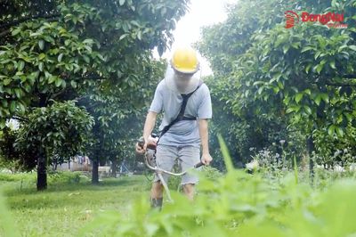 [Video] Hữu cơ thời nay: Nhẹ công, khỏe đất, tốt cây