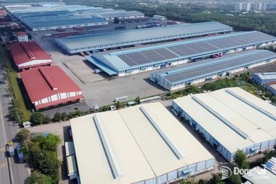 Thực hiện 2 chính sách trọng điểm thúc đẩy tăng trưởng xanh