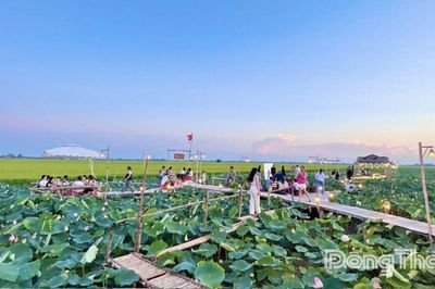 Xã Tam Nông: Phát triển nông nghiệp sinh thái từ tiềm năng du lịch
