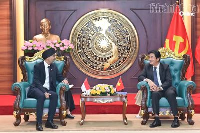 Phó Chủ tịch Thường trực UBND tỉnh Nguyễn Long Biên tiếp Đại sứ Singapore tại Việt Nam