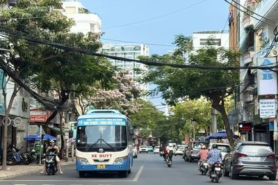 Hỗ trợ vận tải hành khách công cộng bằng xe buýt