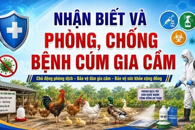 Nhận biết dấu hiệu và biện pháp phòng, chống bệnh Cúm gia cầm