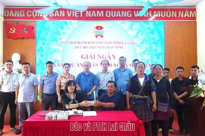 Hội Nông dân tỉnh giải ngân 1,4 tỷ đồng để phát triển nuôi ngựa sinh sản