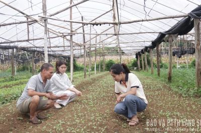 Bắc Sơn: Phát triển kinh tế nông thôn
