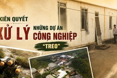 Kiên quyết xử lý những dự án công nghiệp 'treo'