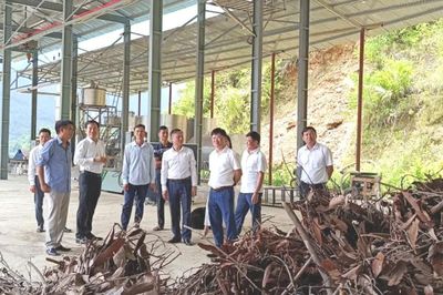 Đoàn giám sát của Ban Thường vụ Tỉnh ủy làm việc tại xã Mỏ Vàng