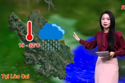 Dự báo thời tiết đêm 3 và ngày 4/8