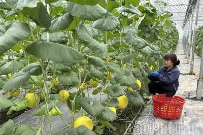 Từ hợp nhất đến thống nhất - sự hưởng lợi của nền kinh tế - Kỳ 2: Thị trường mới đang dần hiện hữu