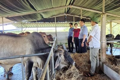 Phát triển nông nghiệp bền vững