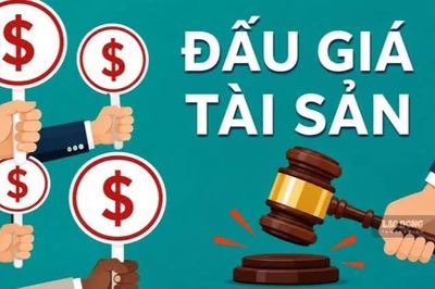 Hải quan đấu giá nhiều lô tài sản tịch thu, có lô khởi điểm hơn 1 tỉ đồng
