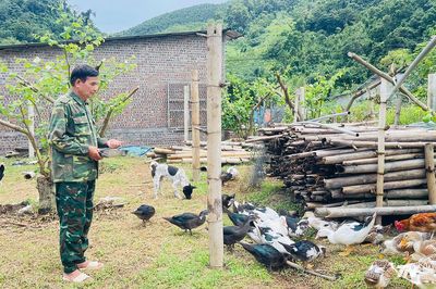Người lính trở về gieo mùa quả ngọt